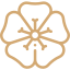 Layout Amenity Icon